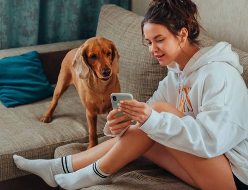 a brown dog beside a woman using her smartphone while sitting on a couch