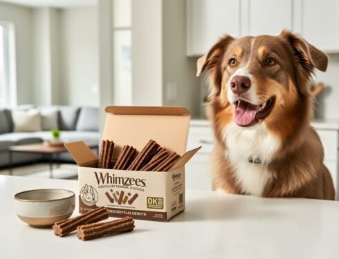 A medium-sized dog beside an open box of dental chew treats on a kitchen counter in a cozy home setting.
